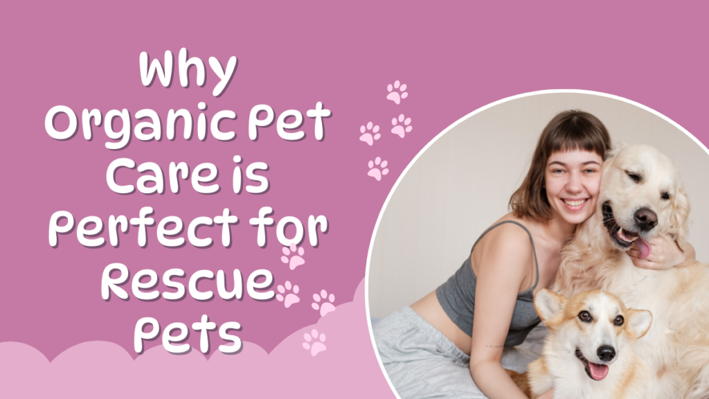 Why Organic Pet Care is Perfect for Rescue Pets
