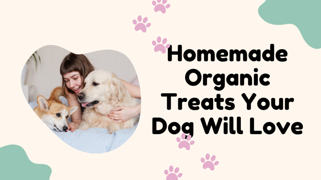 Homemade Organic Treats Your Dog Will Love