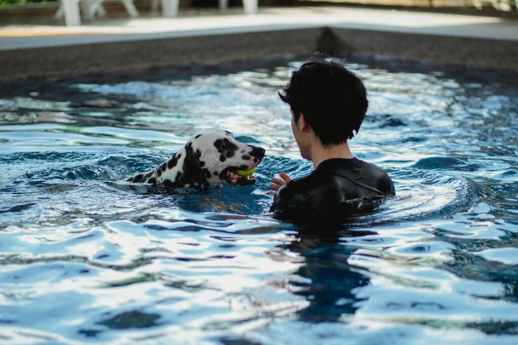 Exercise and Physical Therapy
