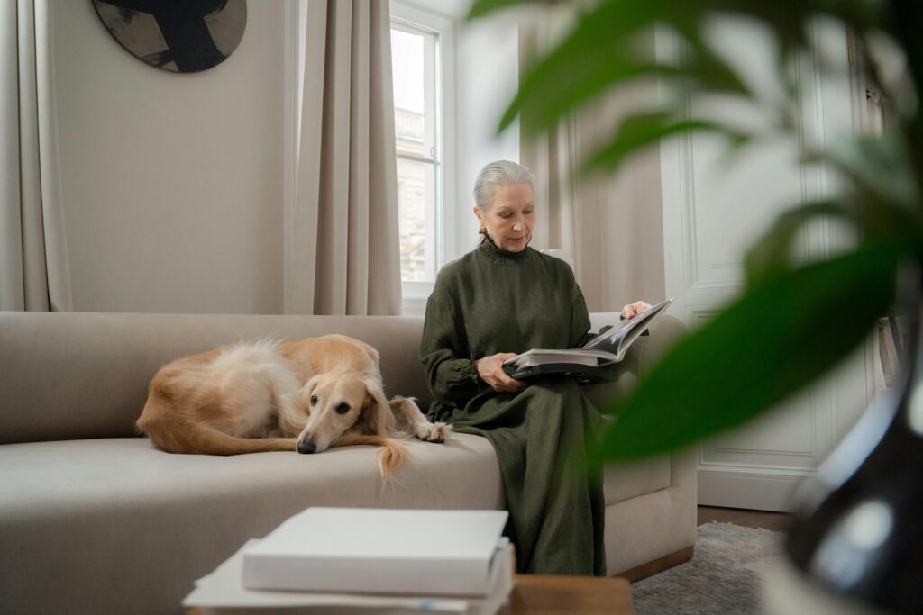 Joint Problems in Senior Pets
