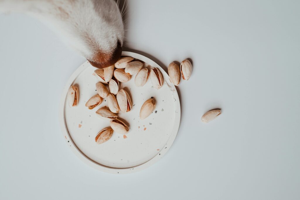 The Top Health Benefits of Organic Supplements