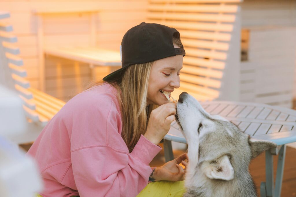 Organic Food for Senior Pets