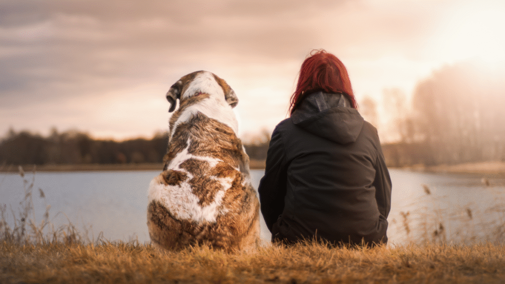 Caring for Your Senior Dog