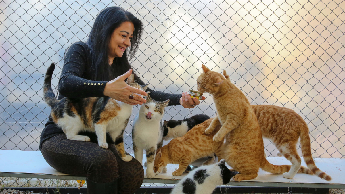 Pet Care Tips