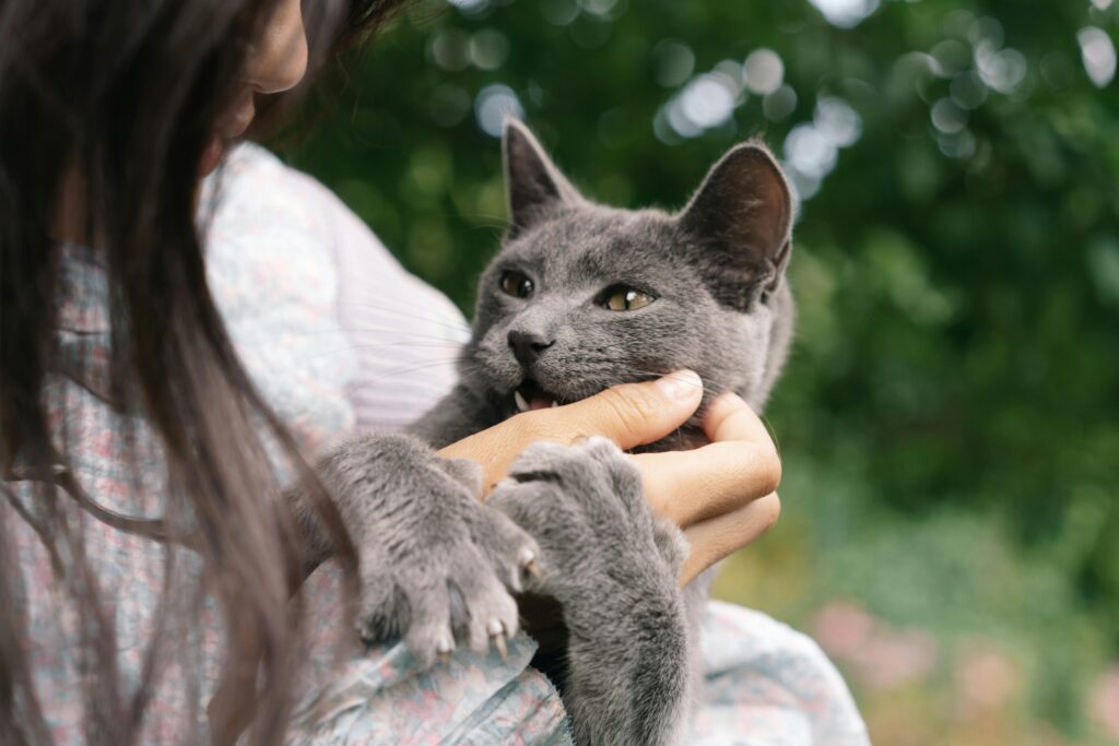 Natural Pet Care