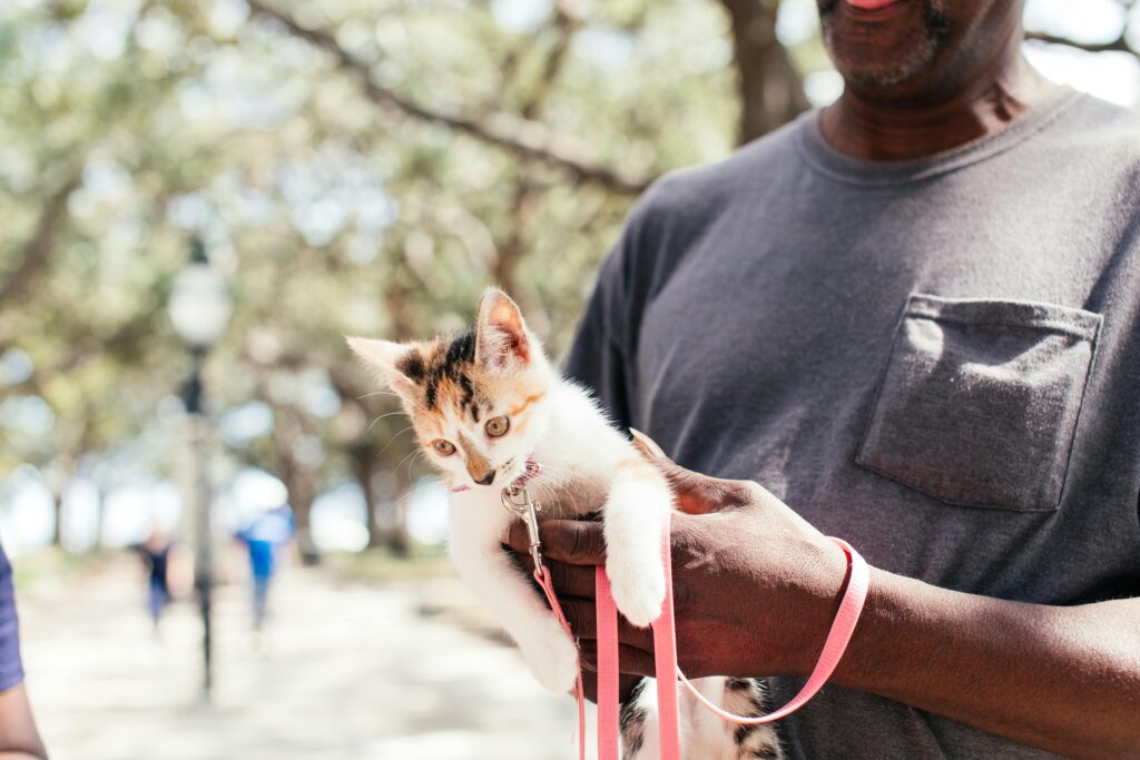 The Future of Natural Pet Care