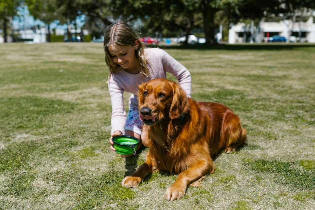 Creating Your Natural Pet Care Plan