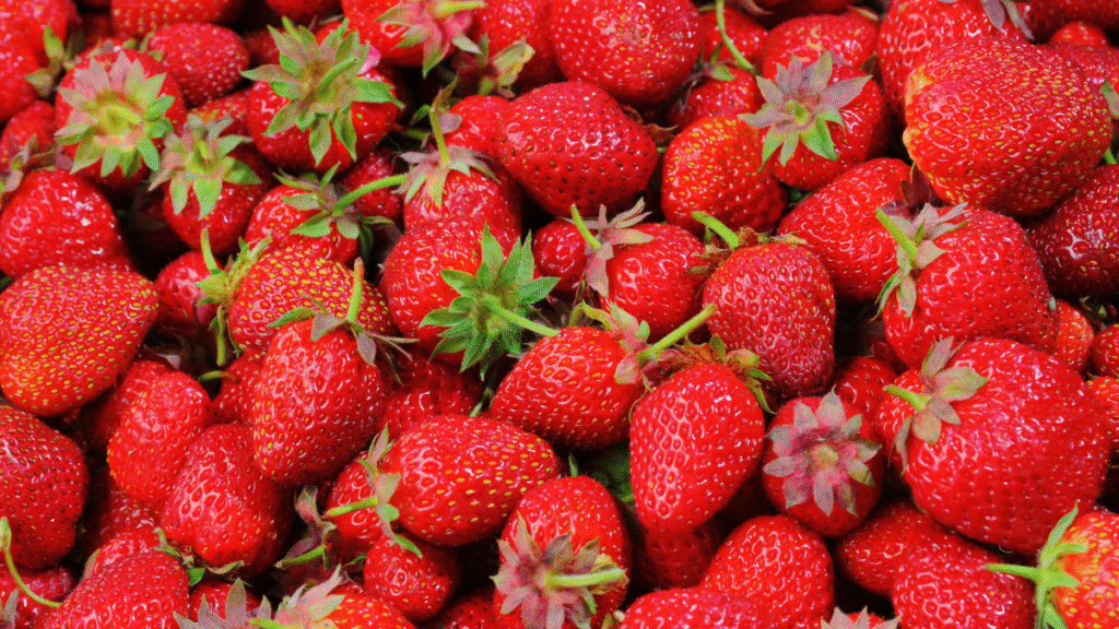 Can Dogs Eat Strawberries