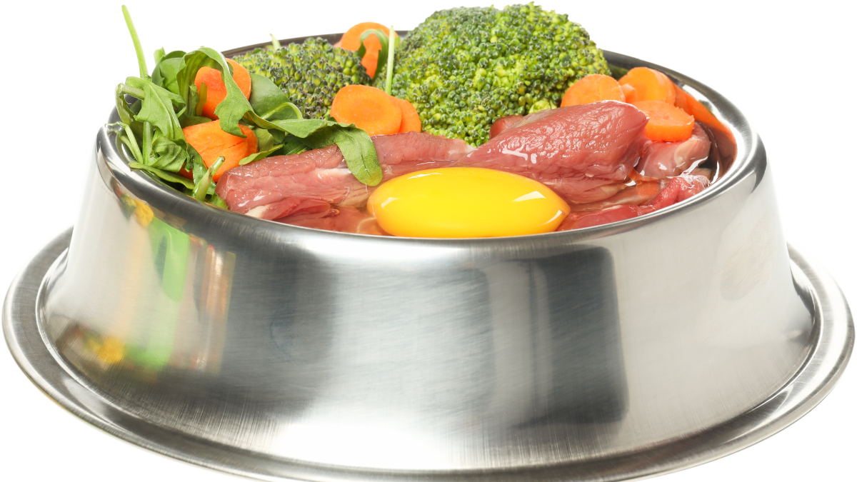 Best Organic Dog Food for Sensitive Stomachs