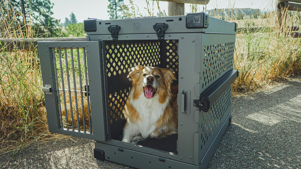 Crate Training Tips for large breed puppies