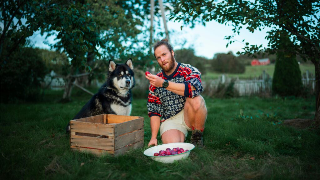 Best Organic Dog Food for Sensitive Stomachs