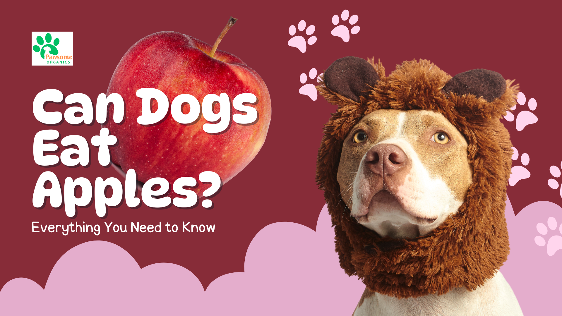 Can Dogs Eat Apples? Everything You Need to Know - Pawsome Organics